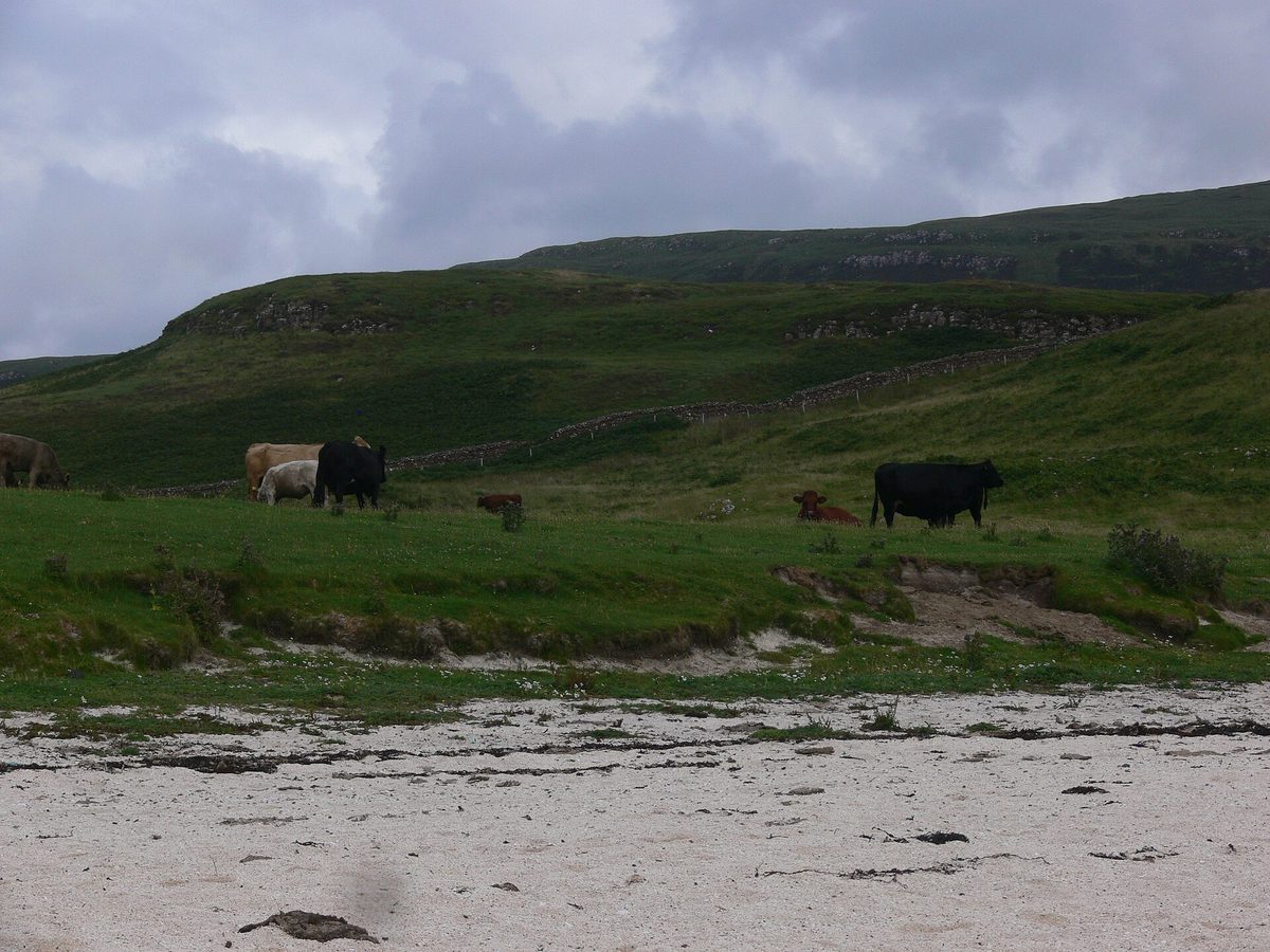 The white Coral Beach near Dunvegan on the Isle of Skye