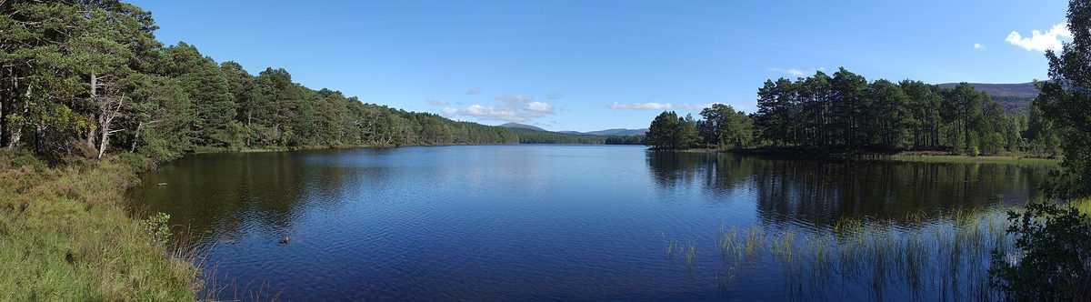 The ruined castle reflected in Loch an Eilein near Aviemore