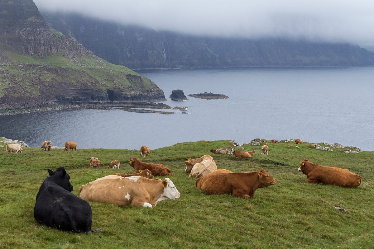 Neist Point lighthouse on the westernmost tip of Skye