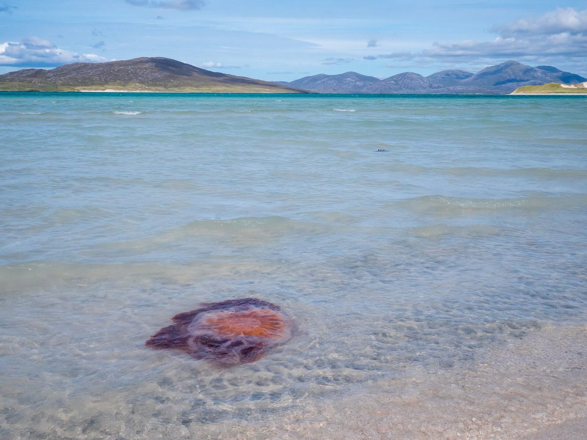Clear turquoise shallows at Luskentyre beach on the Isle of Harris