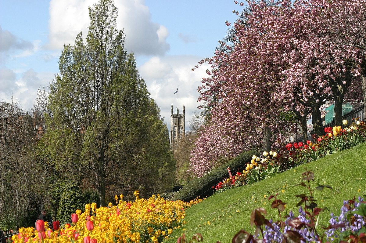 Tulips and cherry blossom in Princes Street Gardens, Edinburgh, in spring