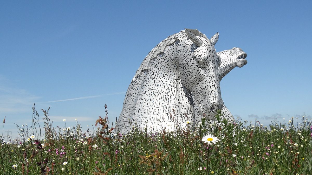 The Kelpies horse-head sculptures rising above wildflowers at Helix Park in Falkirk