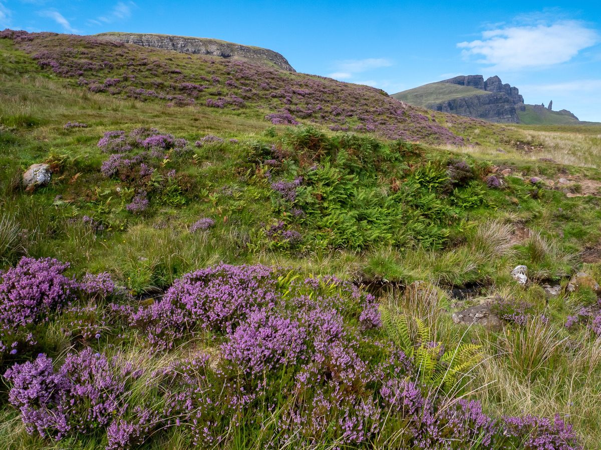 The Old Man of Storr on the Trotternish peninsula, an easy pairing with the Fairy Glen