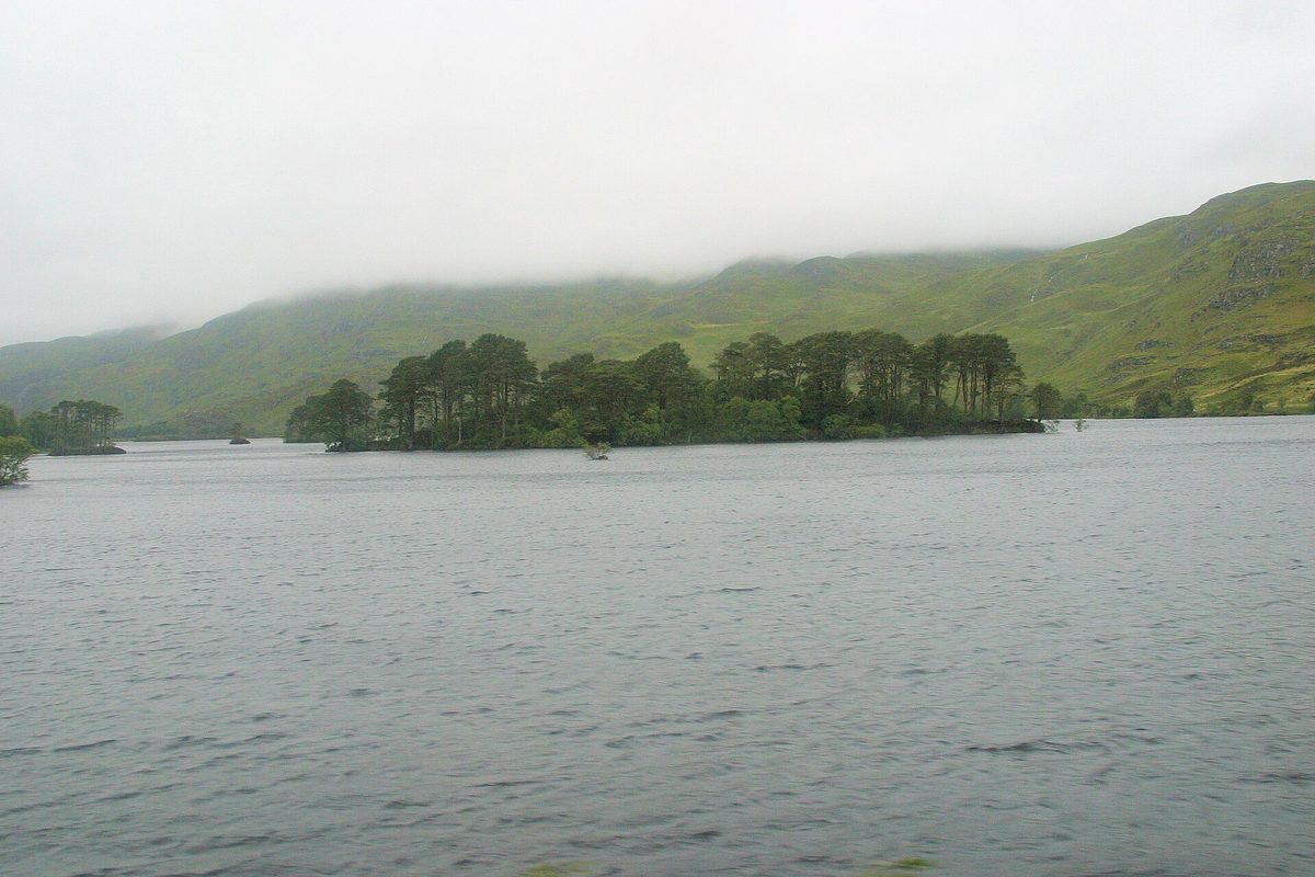 A wooded island in Loch Eilt near Glenfinnan, the loch used for Dumbledore's grave in the Harry Potter films