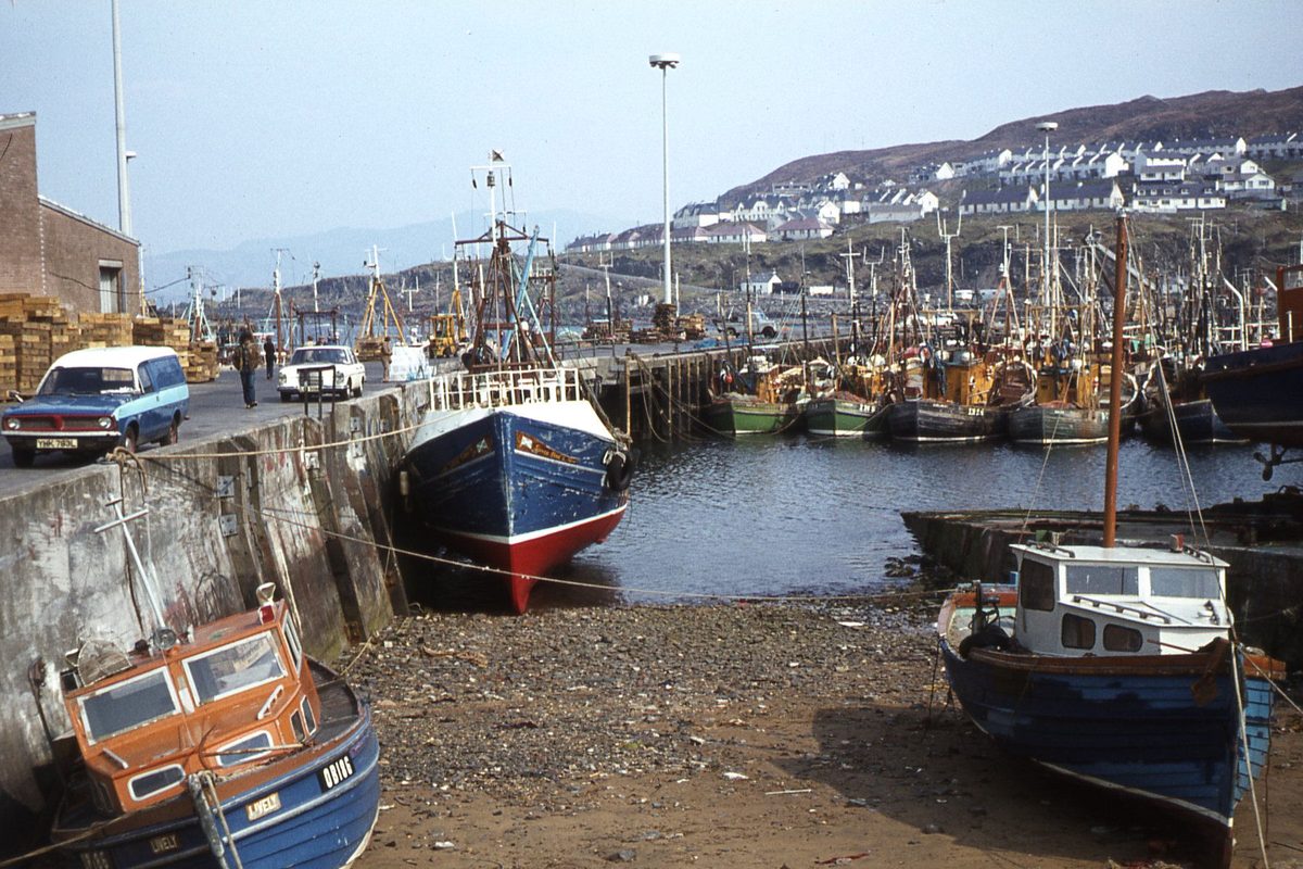 Fishing boats in Mallaig harbour, where the Jacobite steam train from the Harry Potter films turns for home
