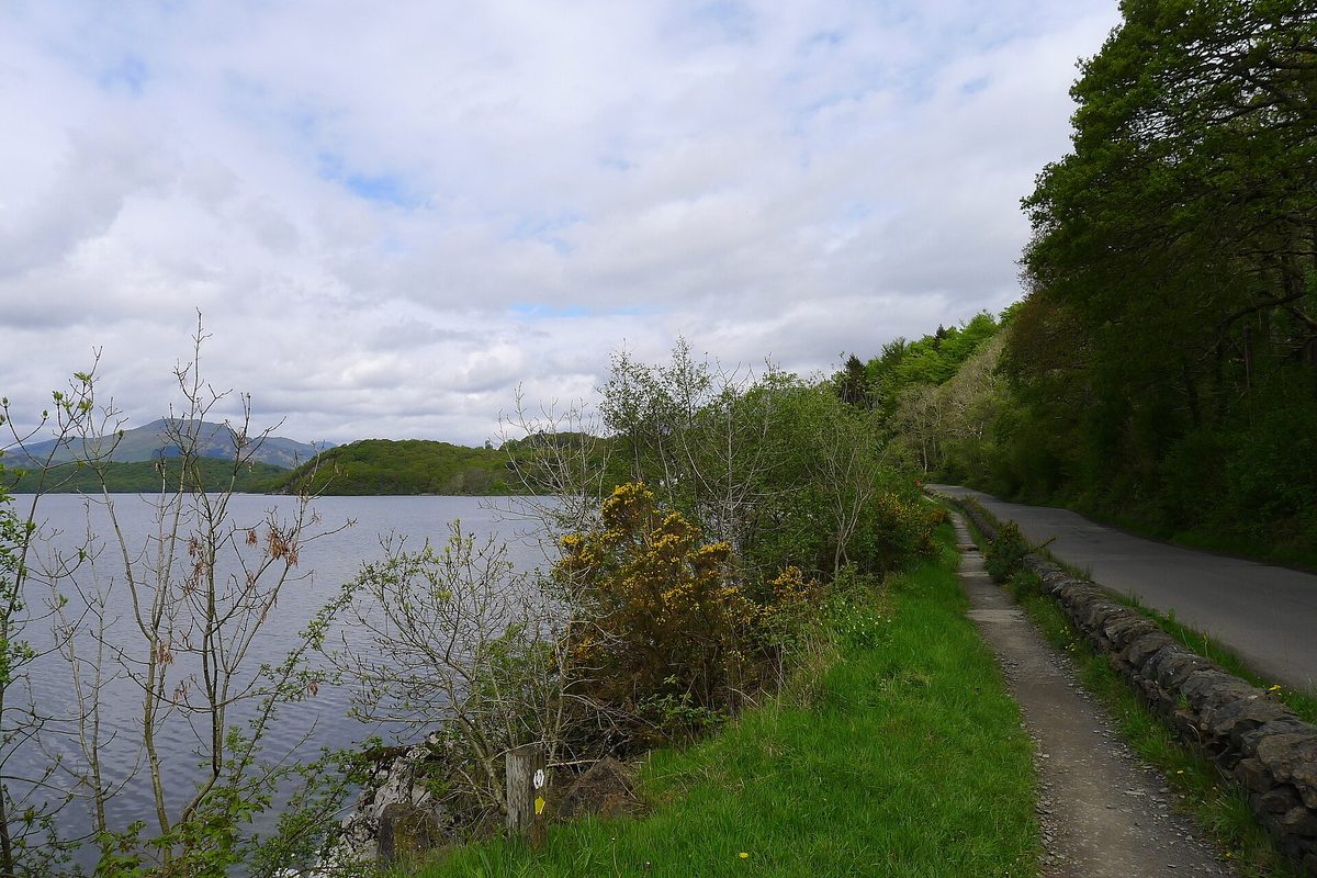 The West Highland Way path beside the lochside road on the east shore of Loch Lomond
