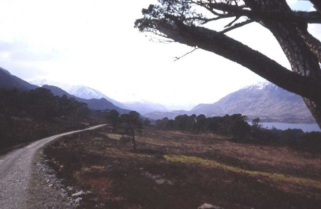 The single-track road into Glen Affric, with Loch Affric and old Caledonian pines ahead