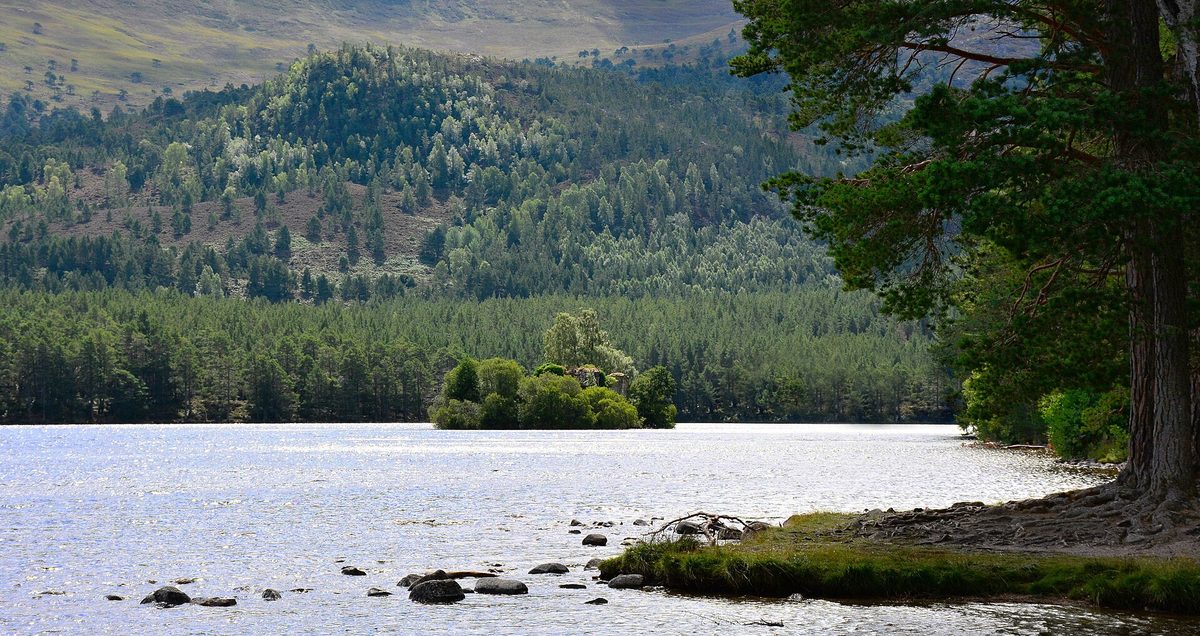 The island castle ruin on Loch an Eilein, ringed by the old pine forest of Rothiemurchus near Aviemore