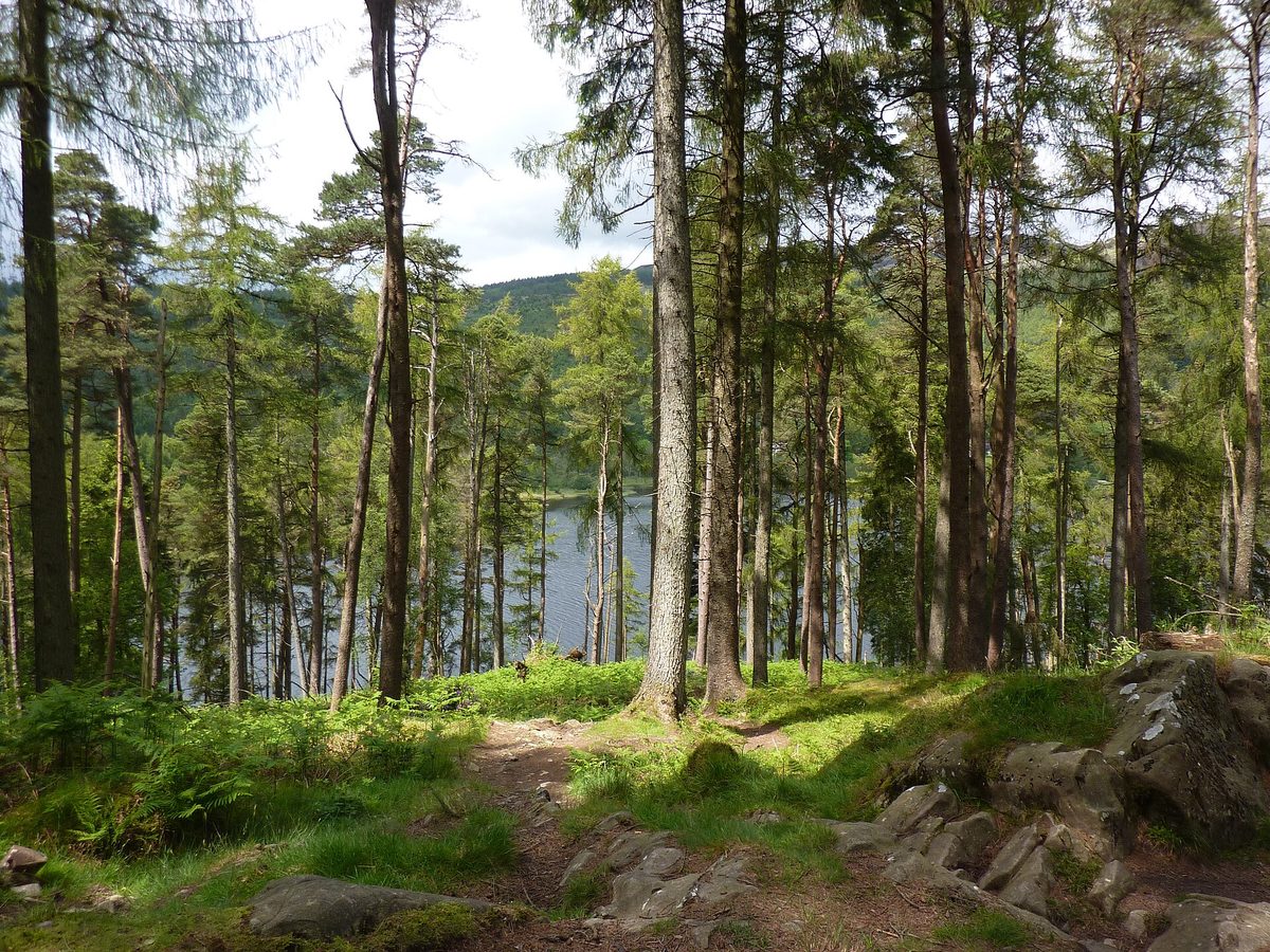 Loch Trool in Galloway Forest Park, the UK's first designated Dark Sky Park