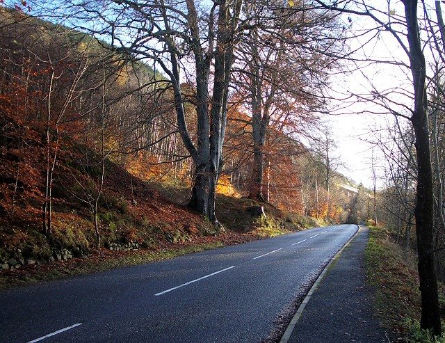 Autumn colour along the B8079 through the Pass of Killiecrankie near Pitlochry