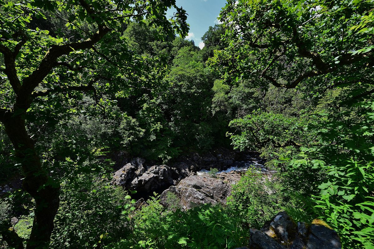 The wooded gorge of the River Garry at Soldier's Leap, Killiecrankie