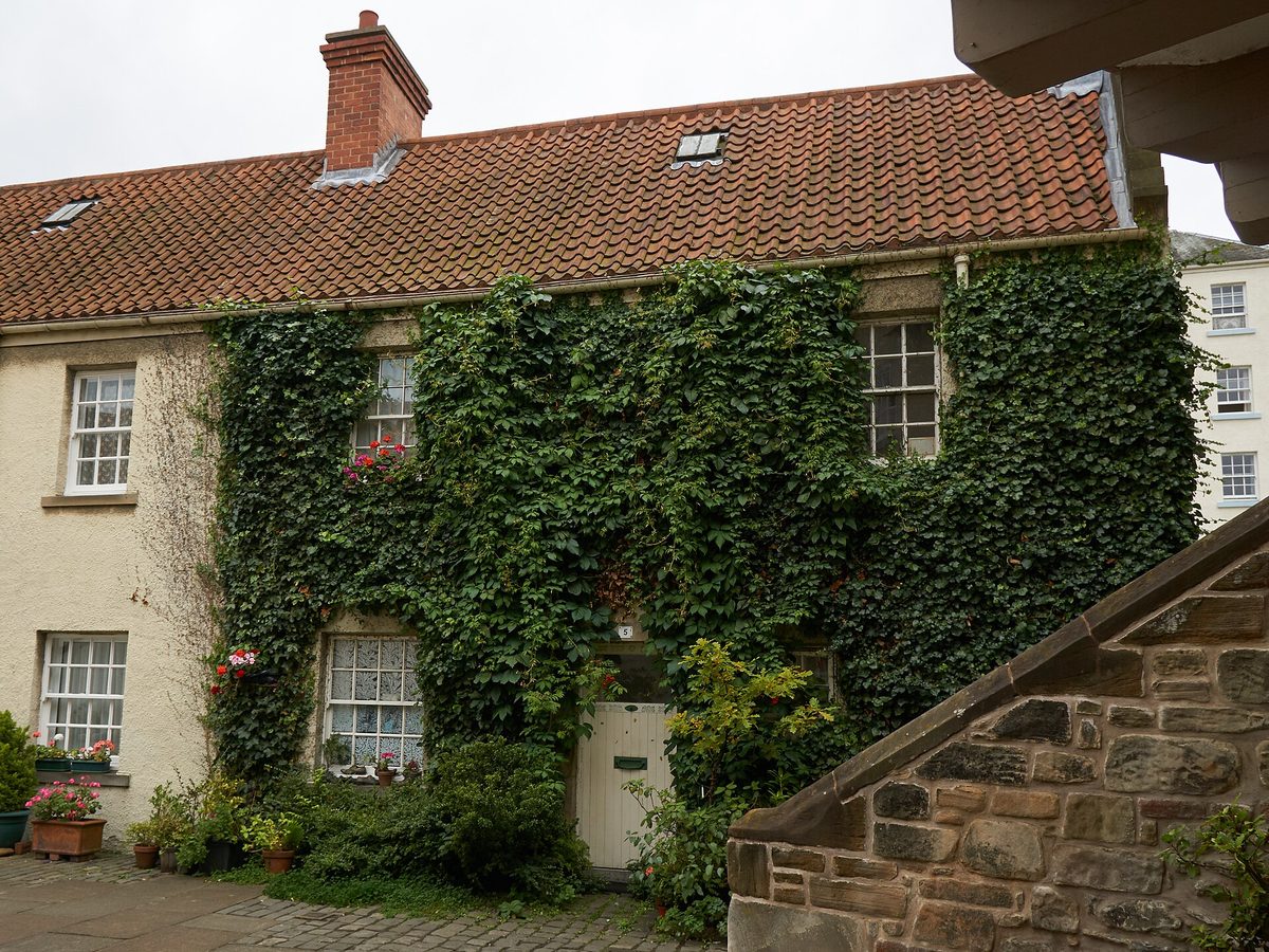 Ivy-covered cottages in White Horse Close at the Holyrood end of the Royal Mile in Edinburgh
