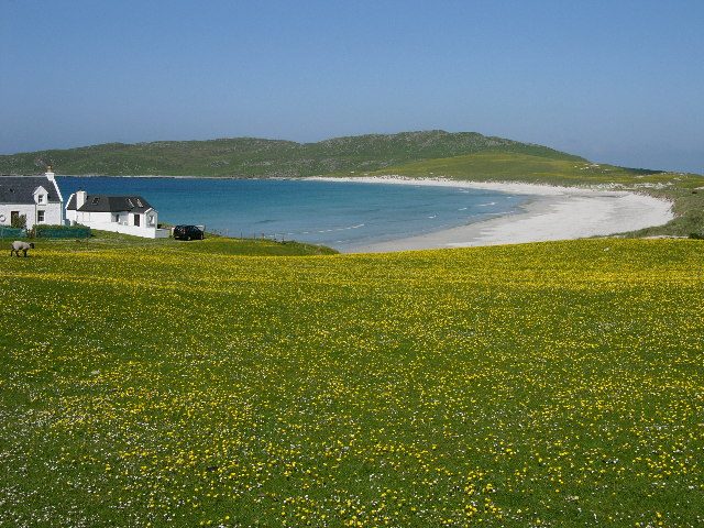 Traigh Bhi at Balephuil Bay on the Isle of Tiree, with flowering machair behind the sand