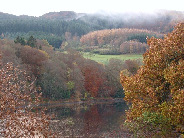 Autumn colour in the woods above Loch Faskally near Pitlochry