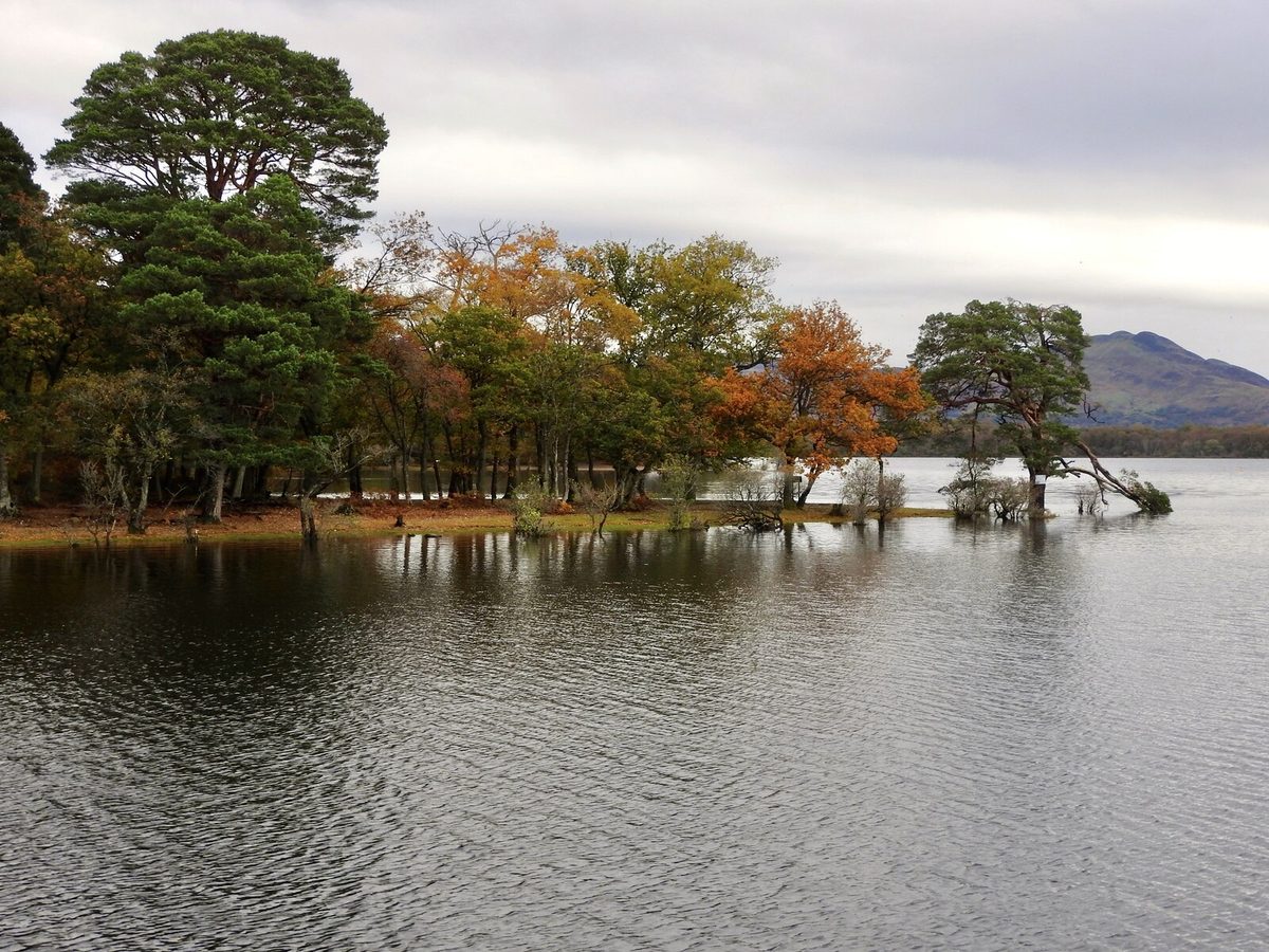 Autumn trees along the shore of Loch Lomond under grey cloud