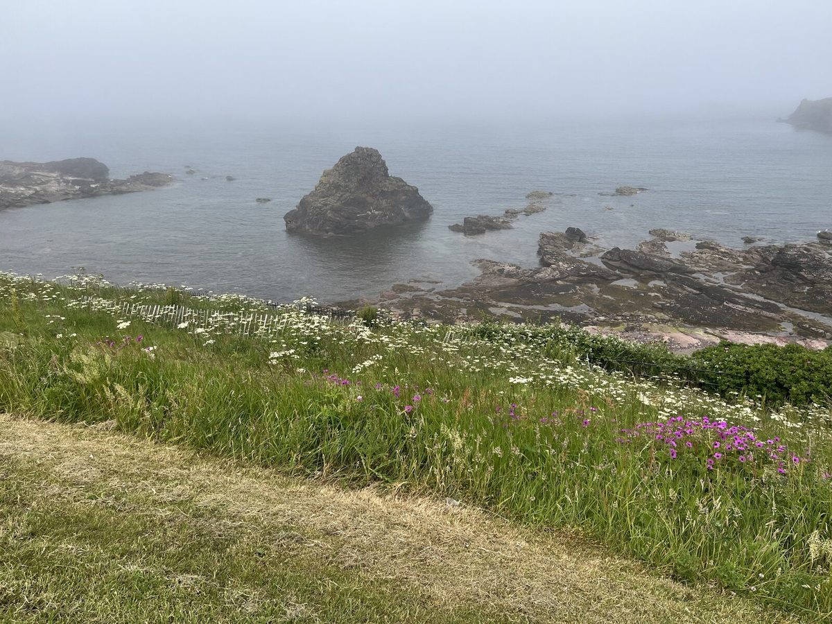 Haar drifting over the East Lothian coast near Dunbar on a summer day