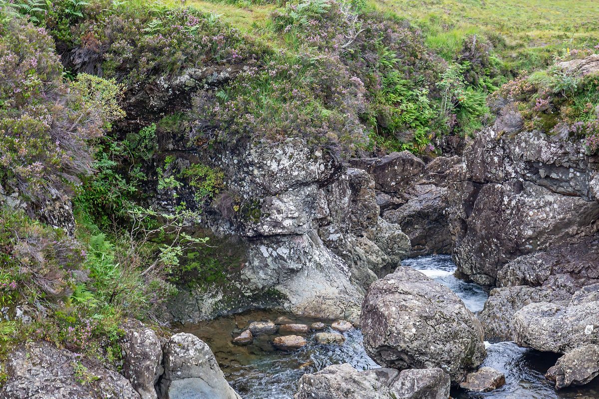 Heather and damp burn-side vegetation at the Fairy Pools in Glen Brittle, Isle of Skye